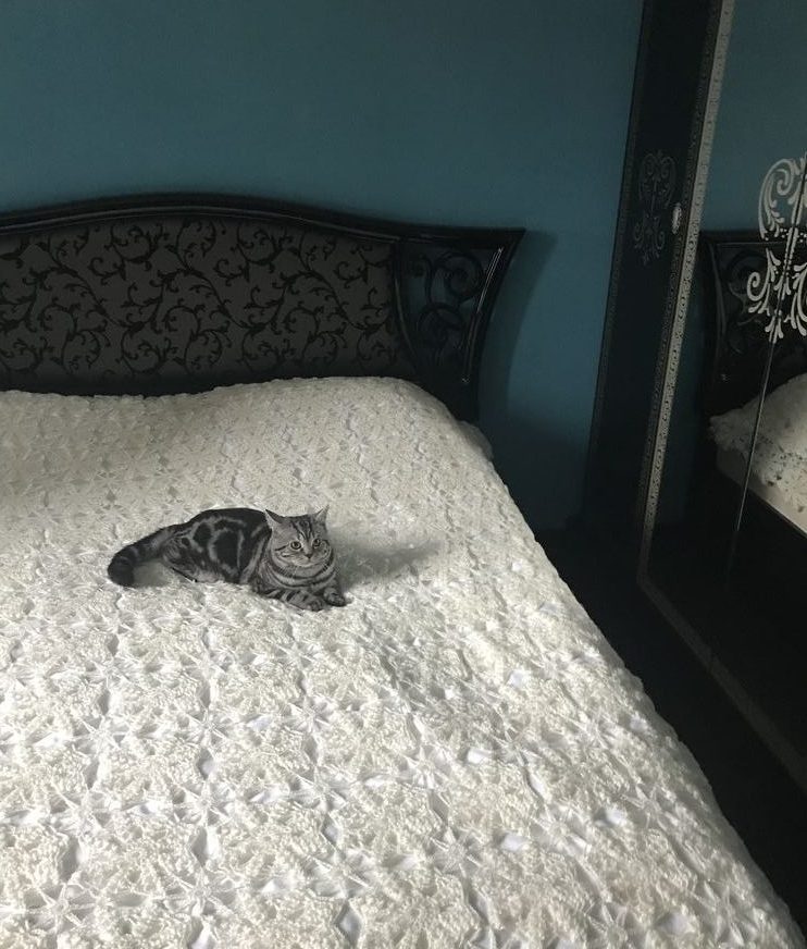 Покрывало на кровать крючком: подборка лучших моделей