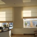 Использование римских штор для офисного кабинета