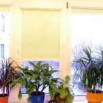 Комнатные растения на пластиковом подоконнике