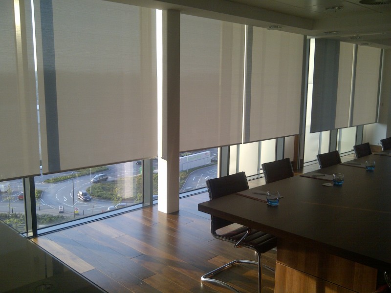 Светлые рулонные шторы в офисе компании