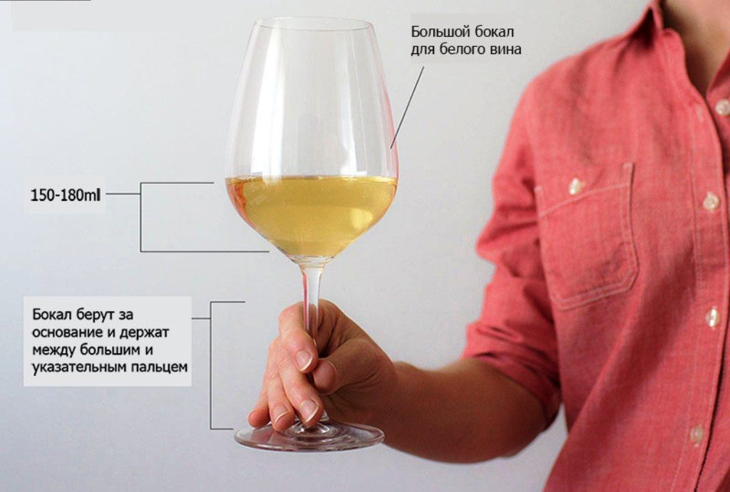 как держать бокал с белым вином